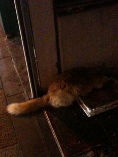 image-20110630203243.png