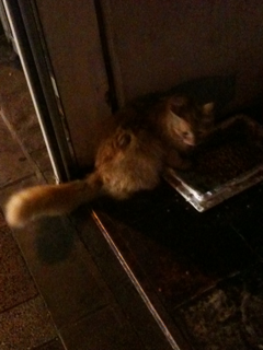image-20110630203425.png